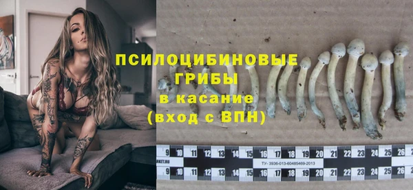 а пвп мука Бородино